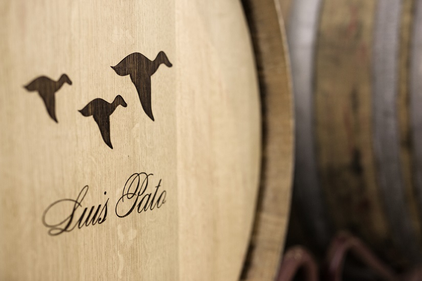 Enoturismo: Vinhos Adega Luís Pagto